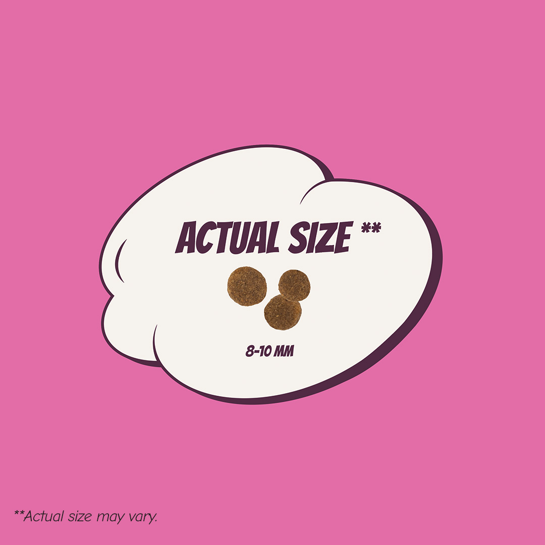 POW! Dog Adult Small/Medium Pork - Image 2