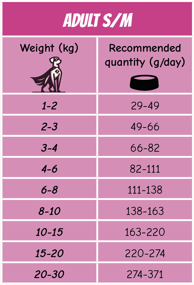 POW! Dog Adult Small/Medium Pork - Image 3