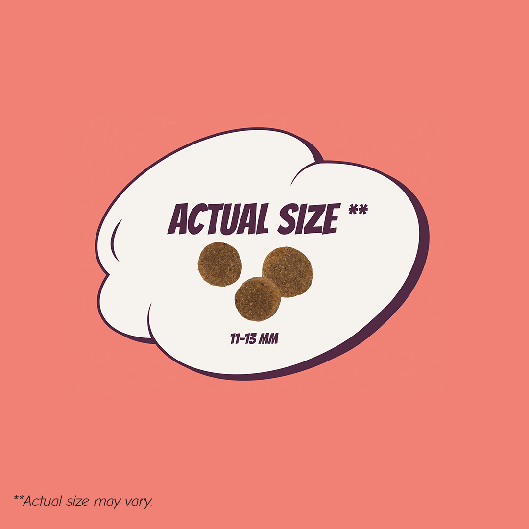 POW! Dog Super Power Pork 12 kg - Image 2