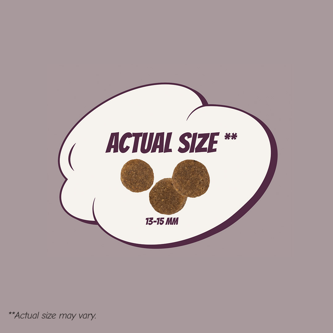 POW! Dog Light/Sterilized Pork 12 kg - Image 2