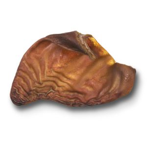 RAUH! Pork Ear - Limited Edition