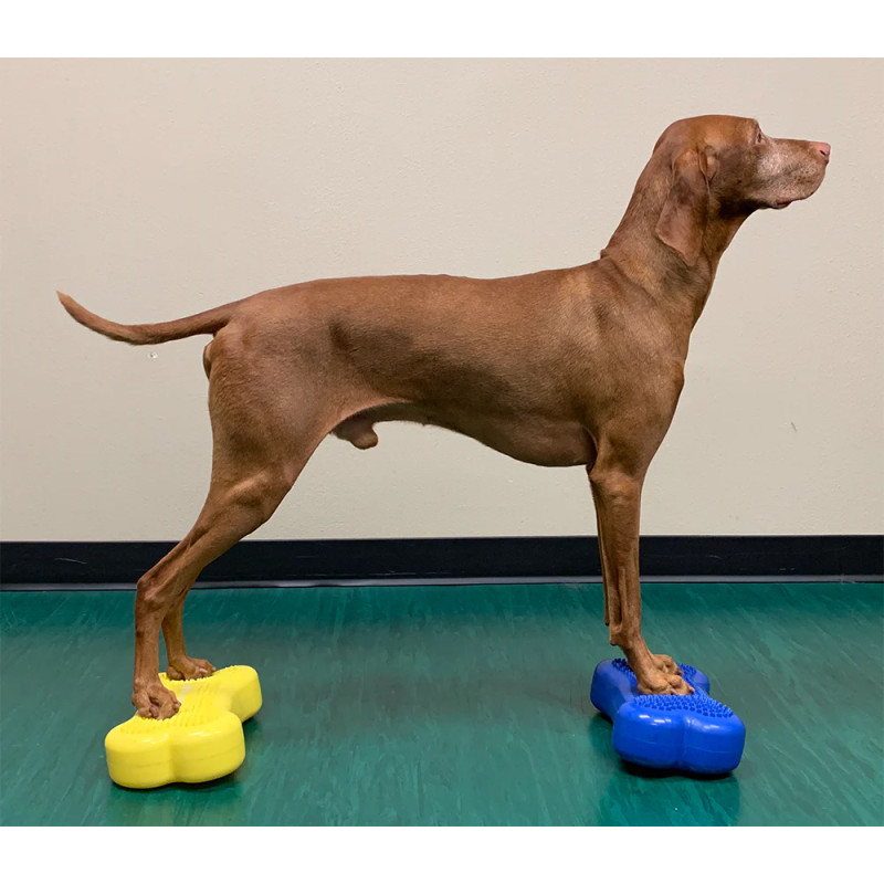 FitPAWS K9FITbone Mini koiran tasapainoalusta, 2kpl - Image 2