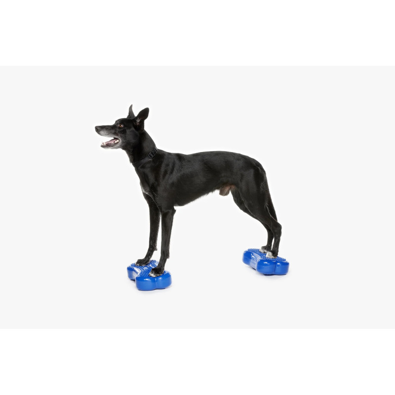 FitPAWS K9FITbone Mini koiran tasapainoalusta, 2kpl - Image 4