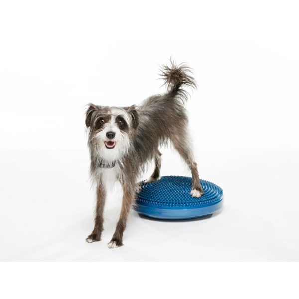 fitpaws-koiran-tasapainotyyny-s-36-cm-solmu-dogs