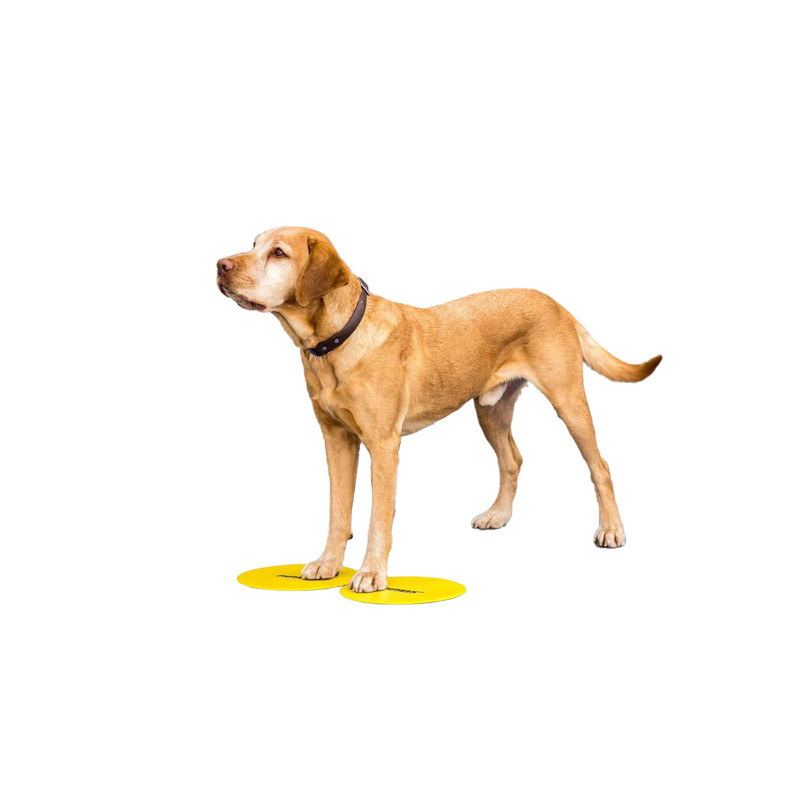 FitPAWS Targets -tassutargetit, 4 kpl - Image 2