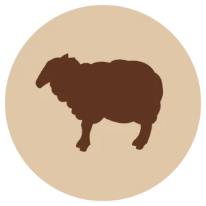 VAIN MYYMÄLÄSTÄ Fanimal Lammas jauhettu, luuton 500 g