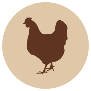 VAIN MYYMÄLÄSTÄ Fanimal Broileri jauhettu, luuton 500 g