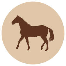 VAIN MYYMÄLÄSTÄ Fanimal Hevonen jauhettu, luuton 500 g