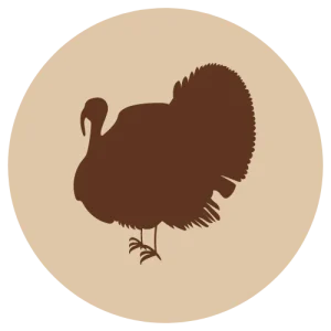 VAIN MYYMÄLÄSTÄ Fanimal Kalkkunan kaulat n. 1 kg pussi 🦴