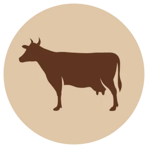 VAIN MYYMÄLÄSTÄ Fanimal Nauta jauhettu, luuton 500 g