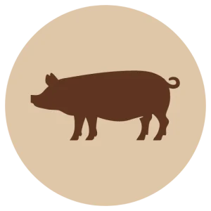 VAIN MYYMÄLÄSTÄ Fanimal Possu jauhettu, luuton 500 g