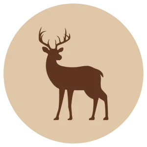 VAIN MYYMÄLÄSTÄ Fanimal Riista jauhettu, luuton 500 g