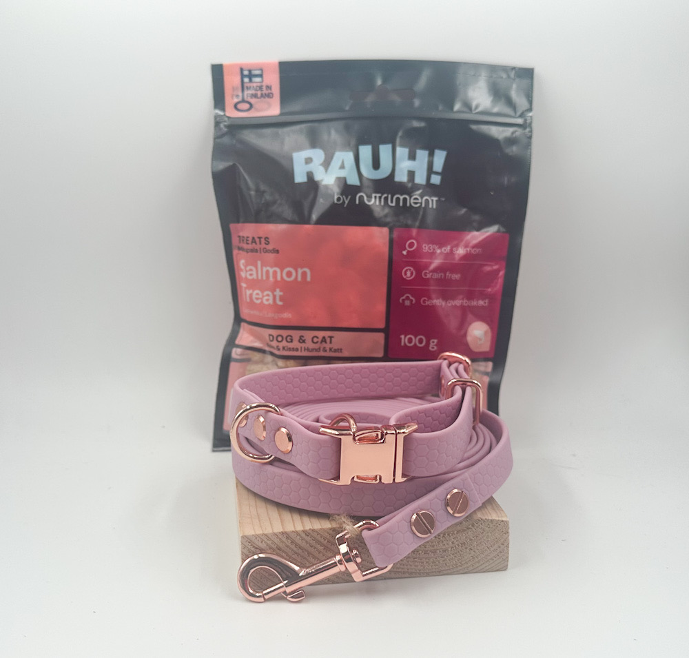 Solmu Dogs Pentupaketti