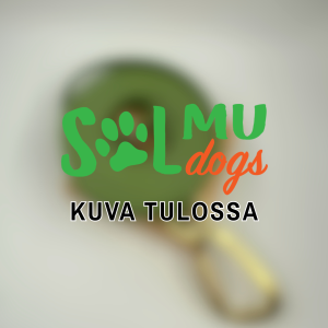 Solmu Dogs 20 mm Grippi-hihna 2-3 m