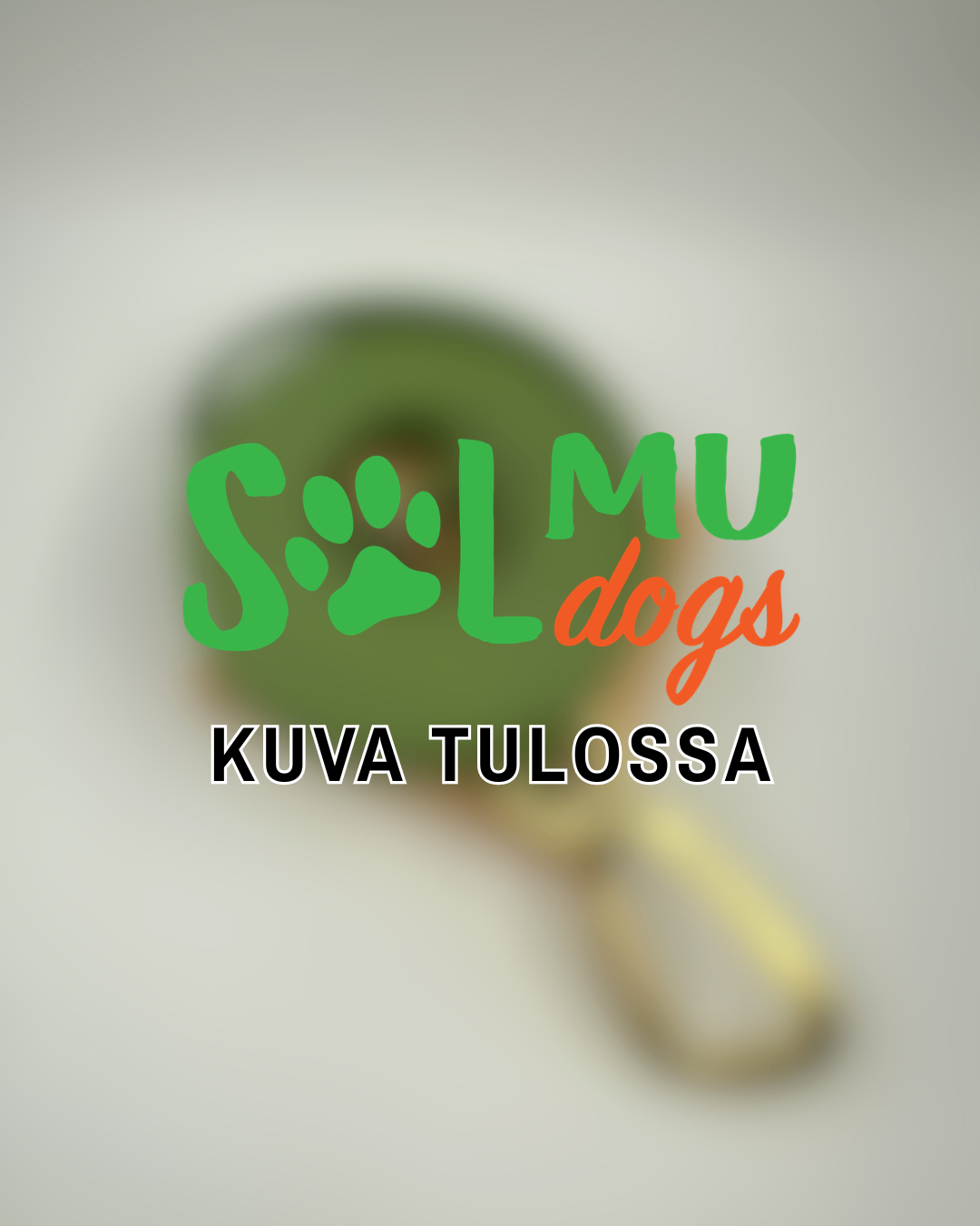 Solmu Dogs 20 mm Grippi-hihna 2-3 m